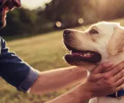 Man met zijn hond
