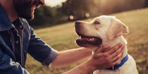 Homme avec chien