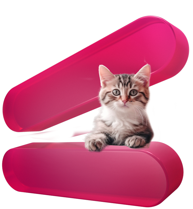 katten